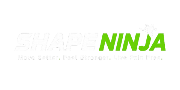 SHAPE NINJA